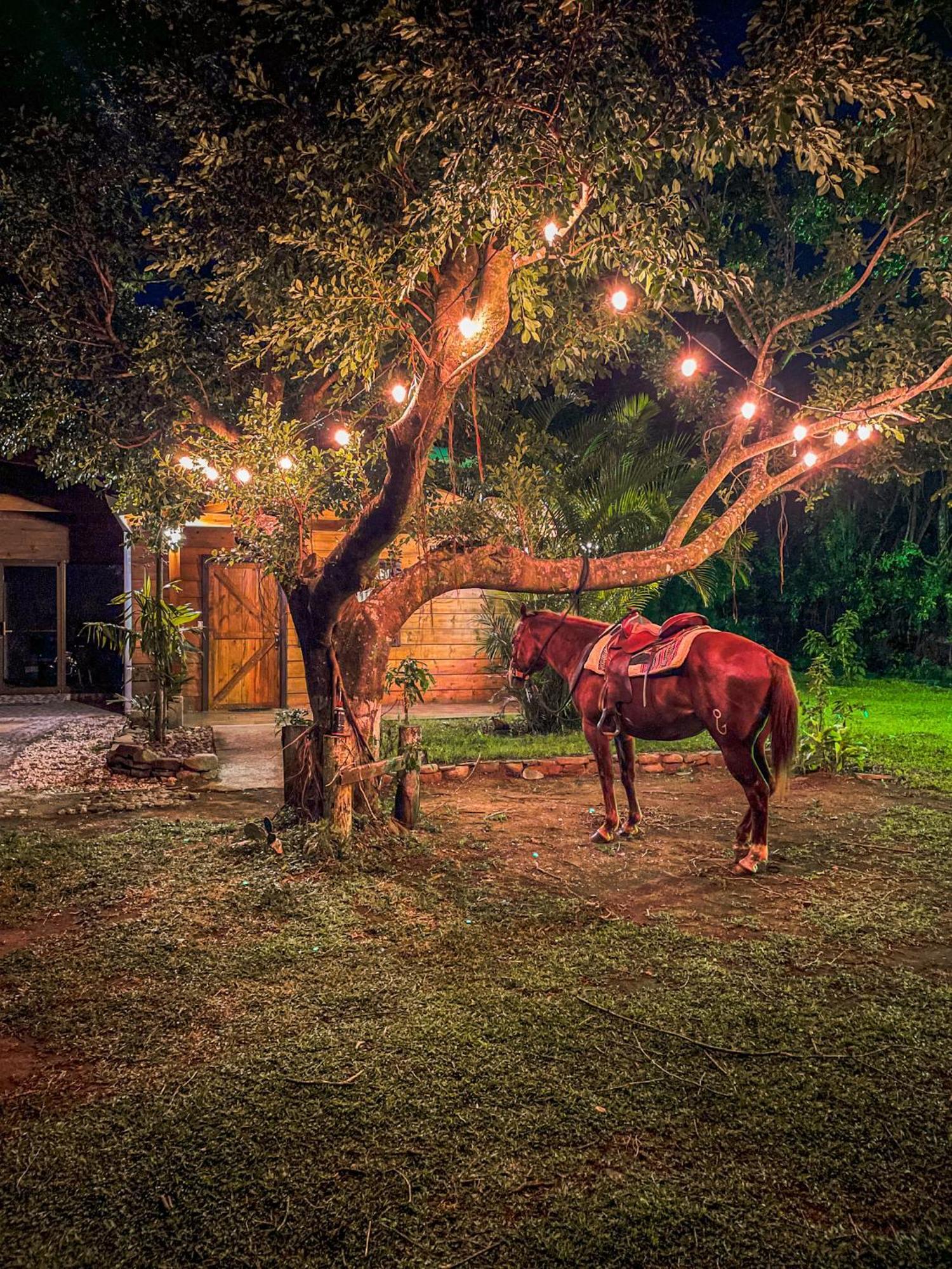 Tierra Buena Countryside Hotel モンテベルデ エクステリア 写真
